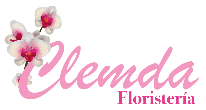 Floristería en Cali Clemda - Regalos Florales - Domicilios